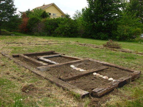 Build Raised Bed Gardening Plans Hillside DIY PDF antique 